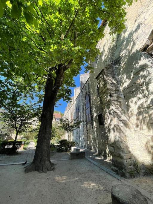 Charmant Studio, Centre Historique, Carmes Aviñón Exterior foto